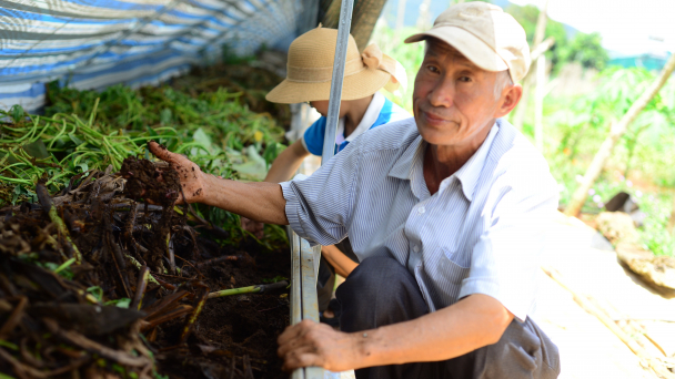 'Nhất cử lưỡng tiện' từ mô hình nuôi trùn quế