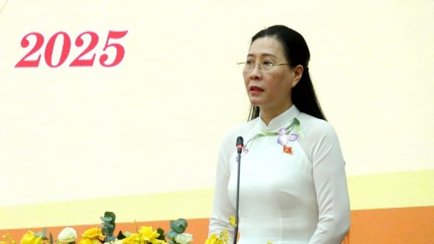HĐND tỉnh Quảng Ngãi thông qua một số đồ án quy hoạch trọng điểm