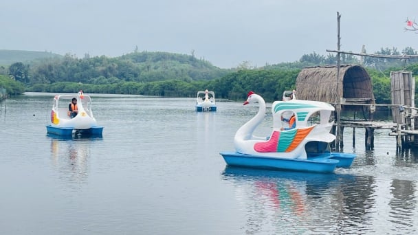 Quảng Ngãi: Khai thác ‘mỏ vàng’ du lịch nông nghiệp, nông thôn