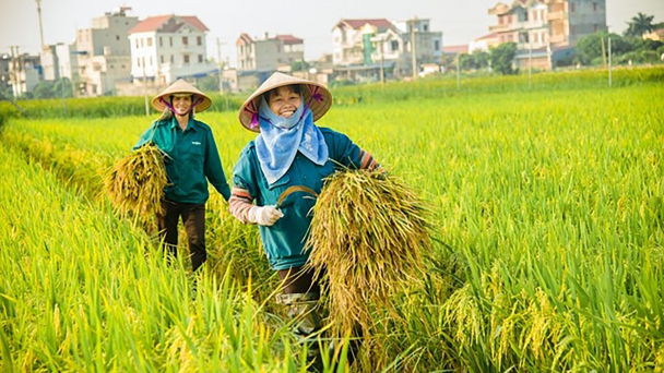 Tổng sản phẩm quý I/2025 của Hà Nội tăng 7,35%
