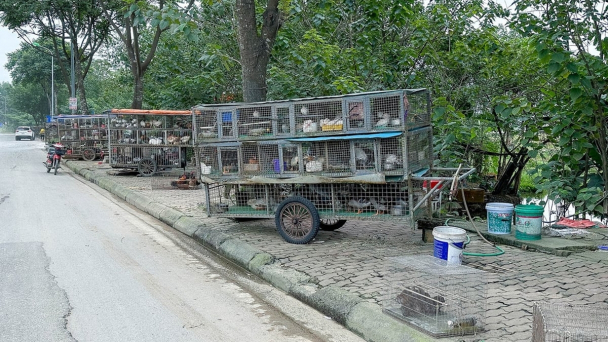 Hà Nội ra quân bảo vệ động vật hoang dã và nguồn lợi thủy sản