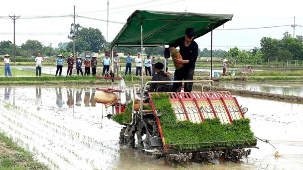 Nội Bài nhân rộng mạ khay, cấy máy, hướng tới cánh đồng mẫu lớn