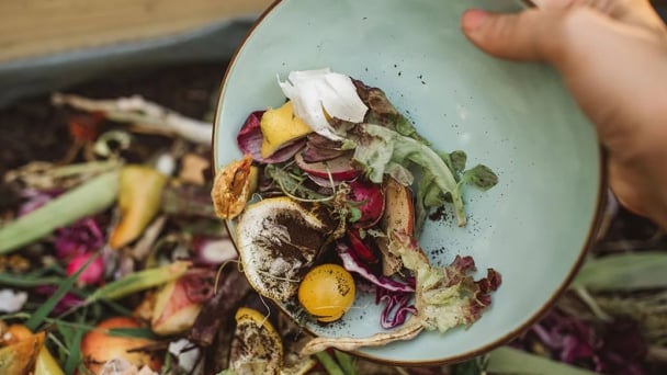 Reducing food waste: A necessary step toward a circular economy