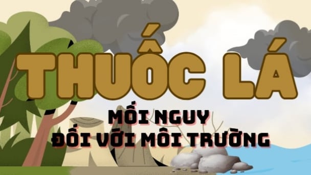 Infographic: Thuốc lá - mối nguy đối với môi trường