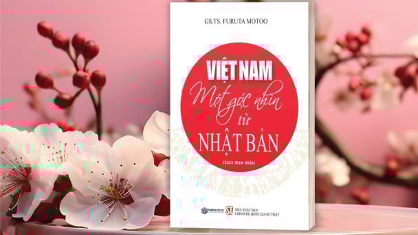 Việt Nam - nhìn từ Nhật Bản, cảm từ trái tim