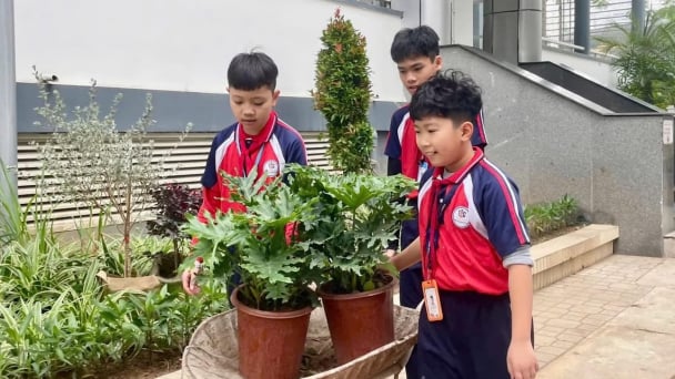Trường THCS Trương Công Giai - nơi gieo mầm lối sống xanh cho học sinh