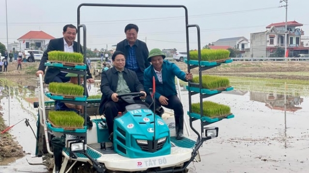 Thủ tướng Phạm Minh Chính xuống đồng, lái máy cấy lúa đầu năm