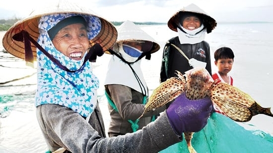 Cống hiến cho hoạt động nhân đạo nghề cá Việt Nam bằng cả tấm lòng