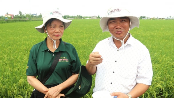 Gạo Ngọc Nương 9 nấu tại ruộng, nông dân trải nghiệm khen 'rất ngon'
