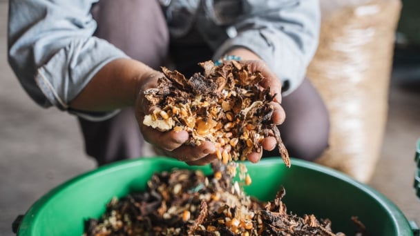 Từ phụ phẩm cacao đến hướng đi cho nông nghiệp xanh và bền vững