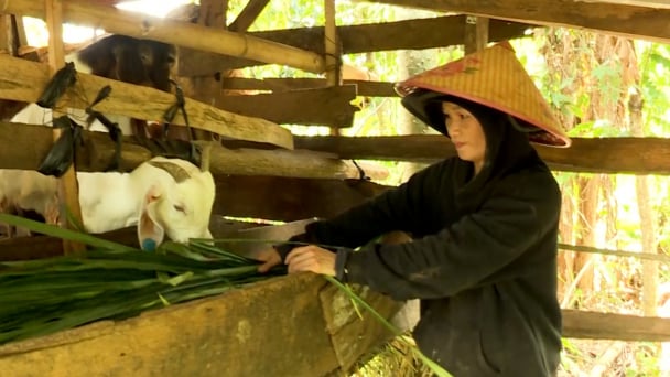 Đắk Song đa dạng sinh kế giúp người dân thoát nghèo