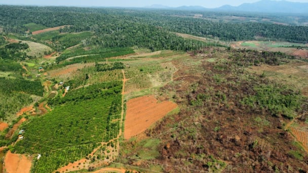 Vietnam to invest VND 8,000 billion in high-tech dairy farming project