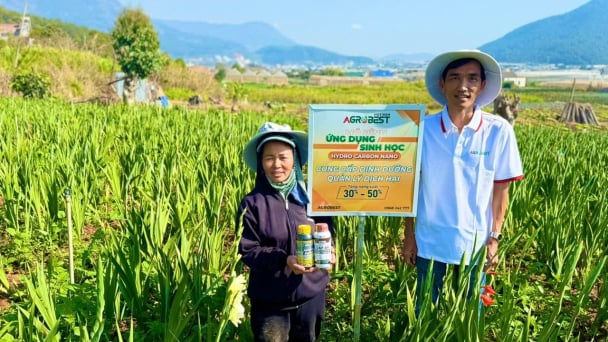 Agro Best tạo khác biệt trên vườn rau, hoa Lâm Đồng