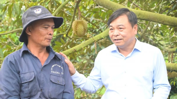 Thứ trưởng Nguyễn Hoàng Hiệp: Cấp mã nhanh, hậu kiểm chặt