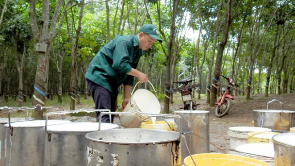 Rubber exports exceeded $1 billion in 5 months