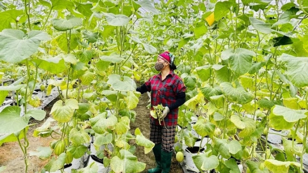 IPHM - the premise for organic, high-tech ecological agriculture