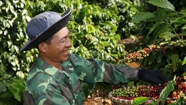 NESCAFÉ Plan helps reduce coffee greenhouse gas emissions