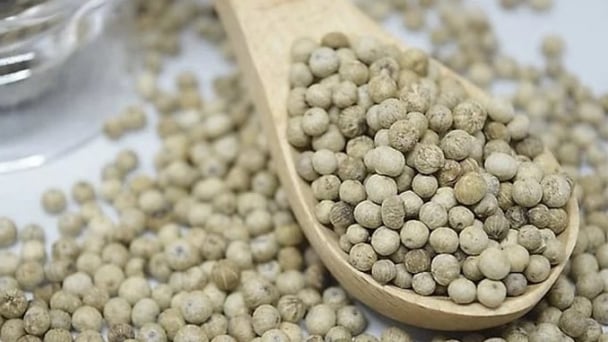 Pepper prices on May 5, 2025: No new fluctuations