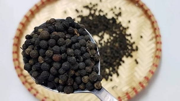Pepper prices on May 15, 2025: Stable across local markets