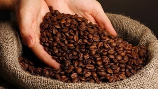 Coffee prices on May 23, 2025: Global market drops sharply