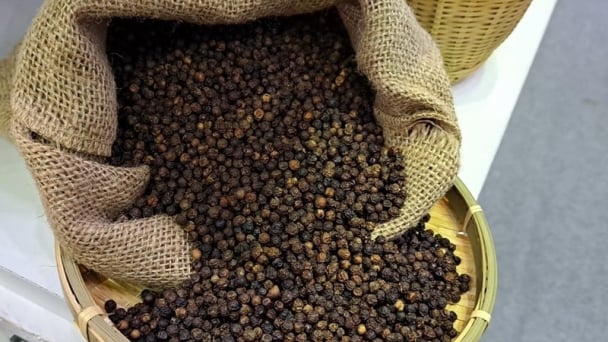 Pepper prices on June 5, 2025: Global market drops sharply