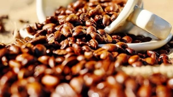 Coffee prices on June 20, 2025: Arabica continues to plunge