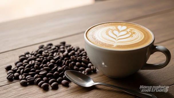 Coffee prices on August 22, 2025: Another strong gain
