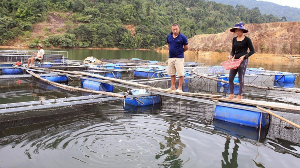 Nghệ An xây dựng vùng nuôi thủy sản bền vững