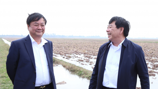 Phá bỏ bờ bao tư duy cũ trong sản xuất nông nghiệp