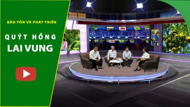 Bảo tồn và phát triển bền vững vùng trồng quýt hồng Lai Vung