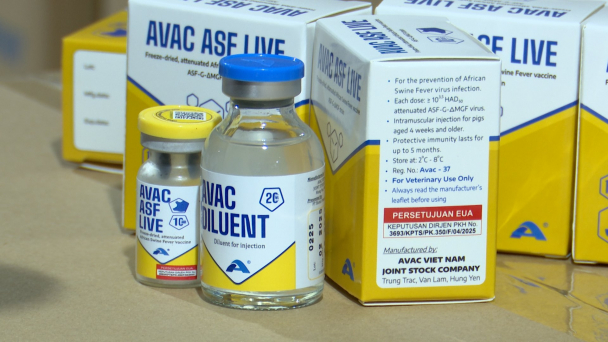 Vaccine ASF tiếp tục chinh phục thị trường quốc tế