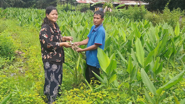 Những sản phẩm lạ mà quen từ cây bản địa