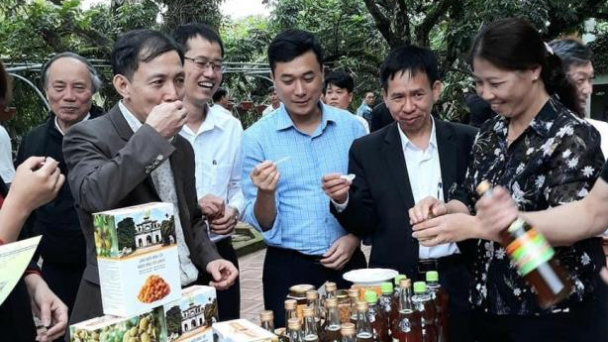 Du lịch nông nghiệp nhãn - ong - cá