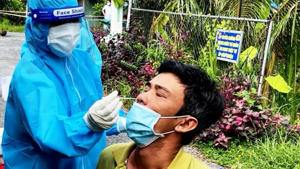Nhiều tài xế xin nghỉ việc do bị ngoáy mũi quá nhiều