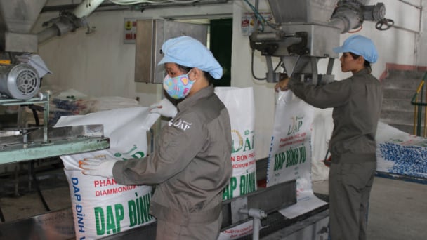DAP Đình Vũ lãi quý 3 cao nhất 3 năm trở lại đây