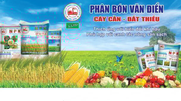 Cách đơn giản nâng chất lượng nông sản là bổ sung trung, vi lượng cho cây
