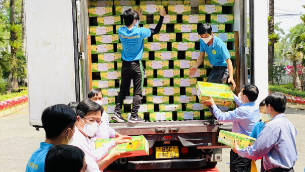 Đồng Tháp xuất lô xoài đầu năm 2022 sang châu Âu