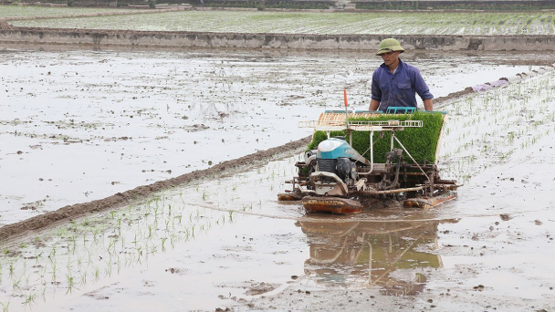 Miễn, giảm thuế sử dụng đất nông nghiệp đến hết 2025