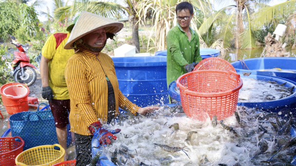 Khắc phục sớm các cảnh báo của Trung Quốc với thủy sản Việt Nam