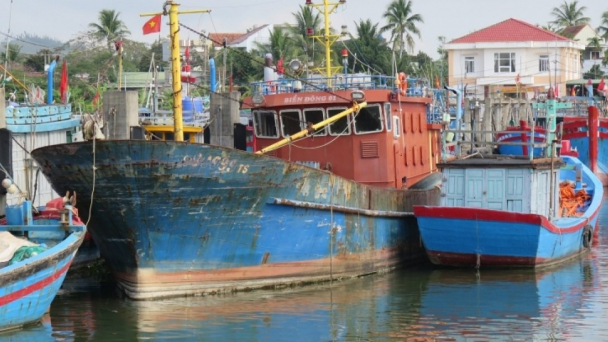 Nợ xấu cho vay đóng tàu theo Nghị định 67 lên mức báo động