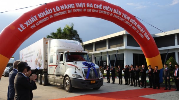 Dư địa xuất khẩu thịt gà ngày càng rộng mở