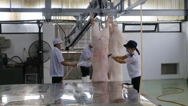 Quản lý hiệu quả giết mổ nhỏ lẻ, ngăn chặn dịch bệnh động vật