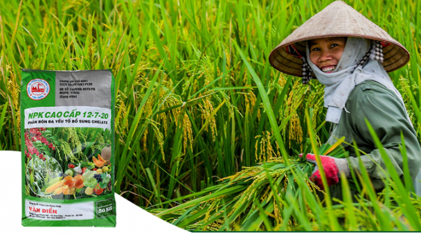 Ngoài cung cấp dinh dưỡng cho cây, phân bón Văn Điển còn giúp cải tạo đất