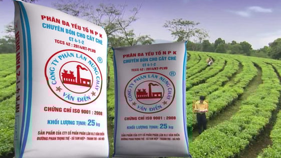Chăm bón cây công nghiệp khu vực miền núi phía Bắc tối ưu nhất
