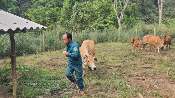 Gian nan đưa vacxin lên vùng biên