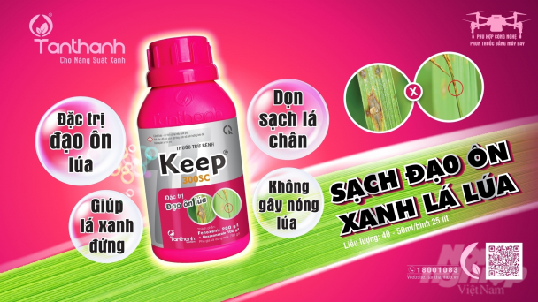 TT Keep 300SC: Giải pháp đặc trị đạo ôn hại lúa