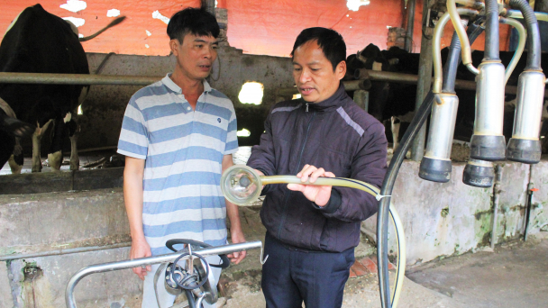 Lấy 10.000 mẫu xét nghiệm giám sát chủ động đàn vật nuôi