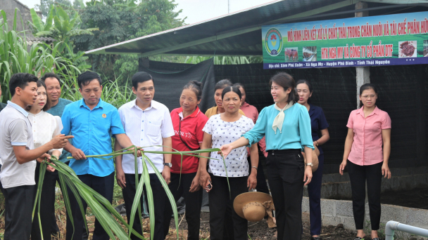 Chăn nuôi tuần hoàn giúp giải quyết bài toán thị trường