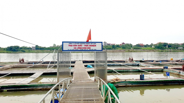 Quan trắc môi trường nuôi thủy sản sông Cầu, sông Đuống, sông Thái Bình