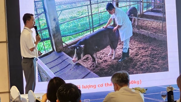 41 sản phẩm kỹ thuật, công nghệ mới trong chăn nuôi, thú y